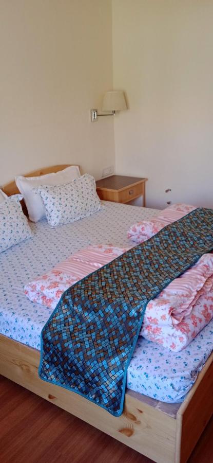 Lhardak Home Stay เลห์ ภายนอก รูปภาพ